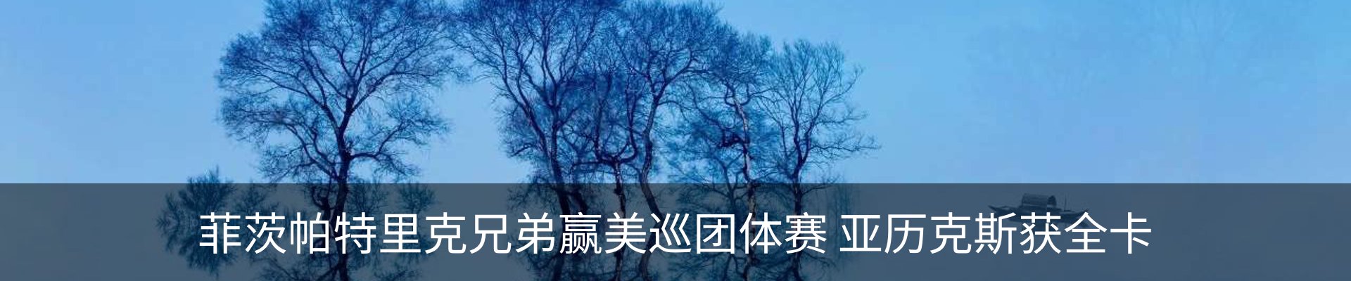 最新动态